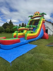 IMG 4555 1757549151 18 ft Sunshine in Paradise