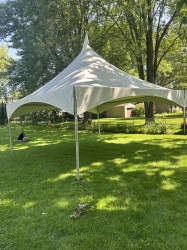 20X20 Pole Tent (white) image1 1744595217 20X20 Pole Tent (white)