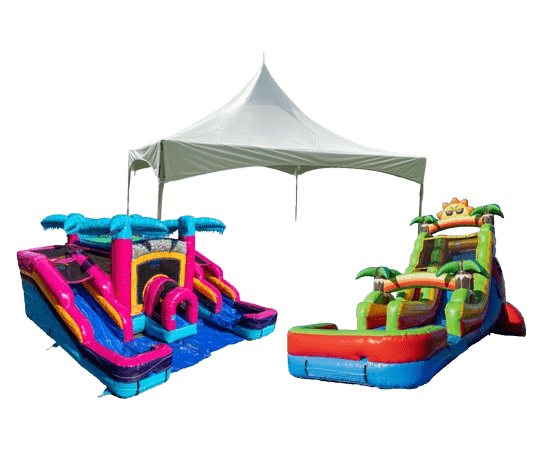 2 removebg preview Home