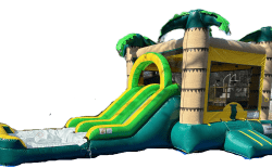 TROPICAL20SIDE20POOL20NO20BACKGROUND 1778101462 jungle double lane combo with pool